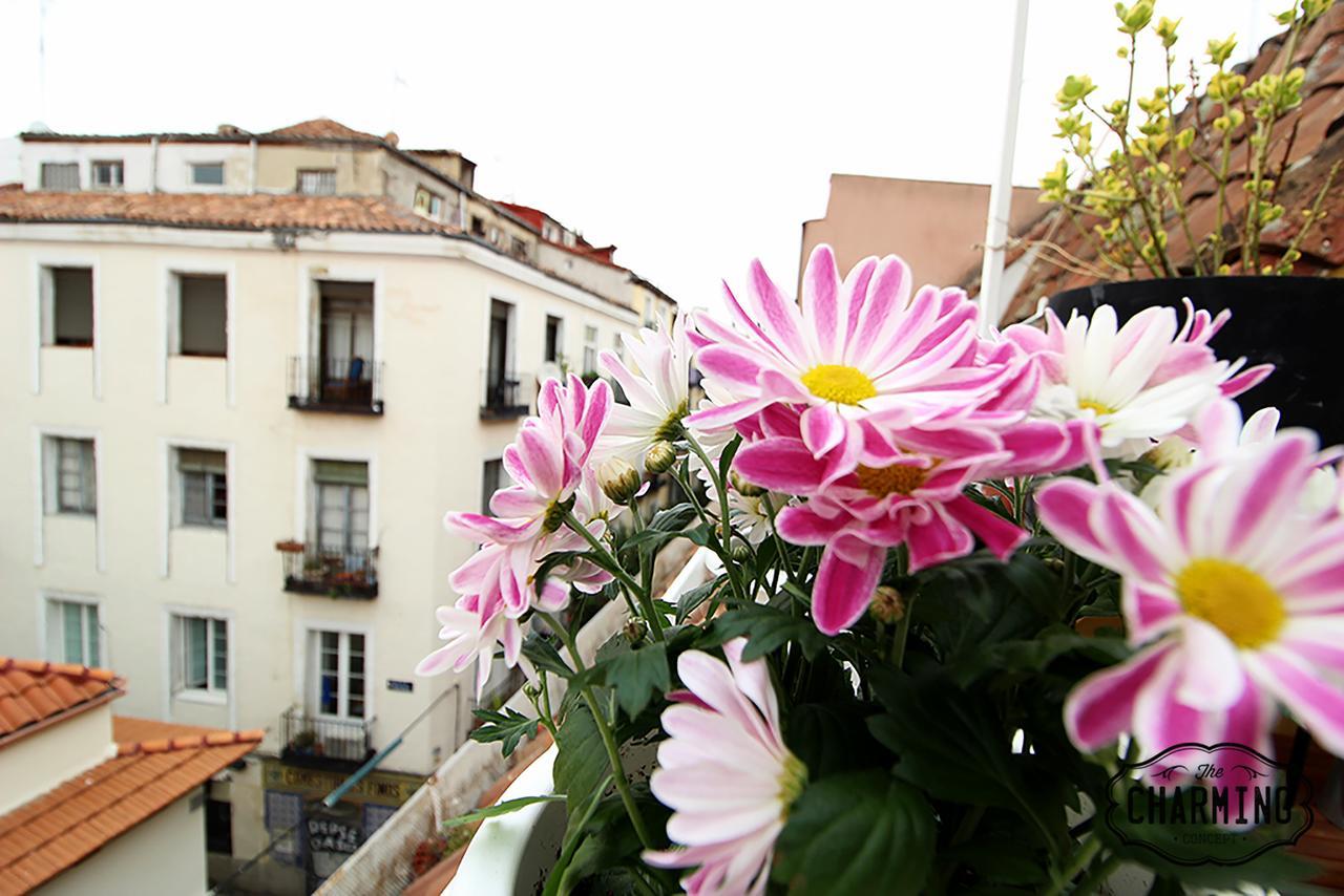 Charming Oasis In The Centre Of Madrid Apartman Kültér fotó