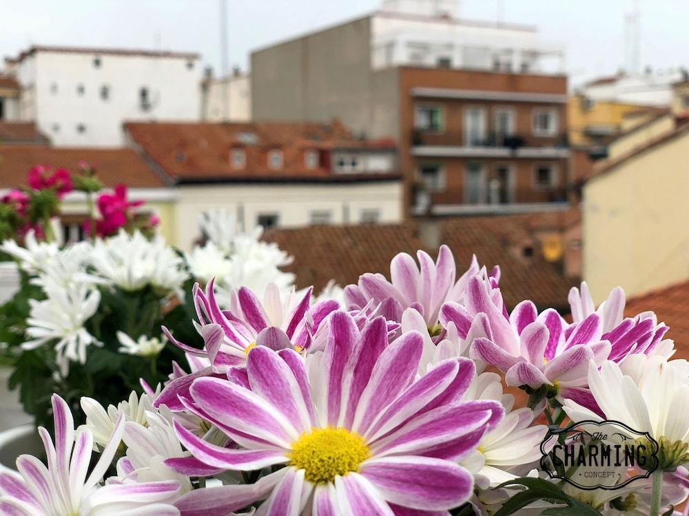 Charming Oasis In The Centre Of Madrid Apartman Kültér fotó